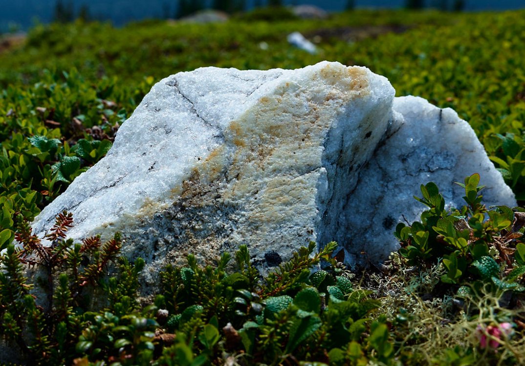 performance-profection@2x